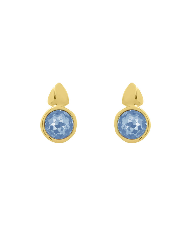 
                  
                    Axis Earrings
                  
                