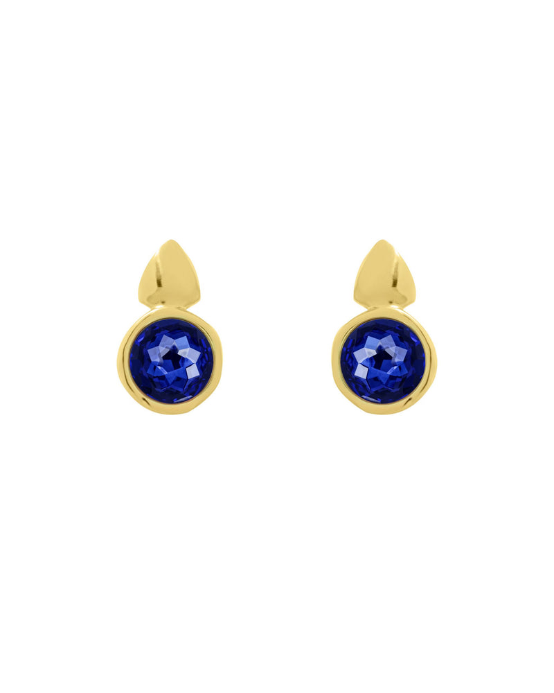 
                  
                    Axis Earrings
                  
                